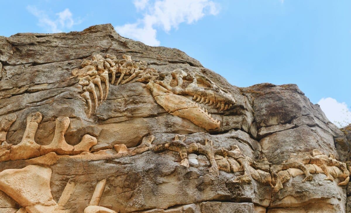 A 92-Foot Dinosaur Was Discovered by Accident in China