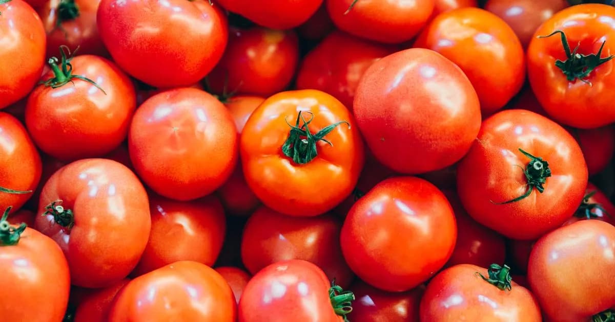 Anyone buying tomatoes from supermarkets issued urgent warning this winter | Chronicle Live