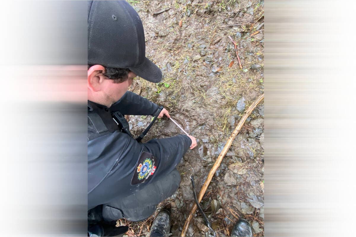 Bear attack that injured students, teachers in Bella Coola still a ‘dangerous situation’ - Creston Valley Advance