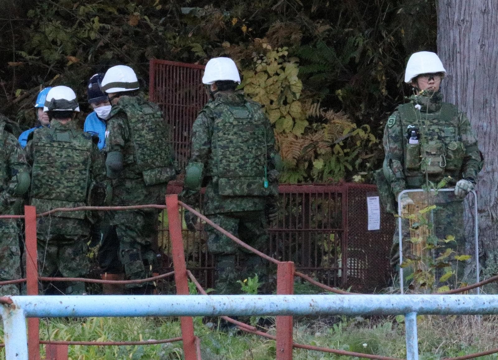 Bear attacks in northeastern Japan deflate tourism amid peak fall foliage