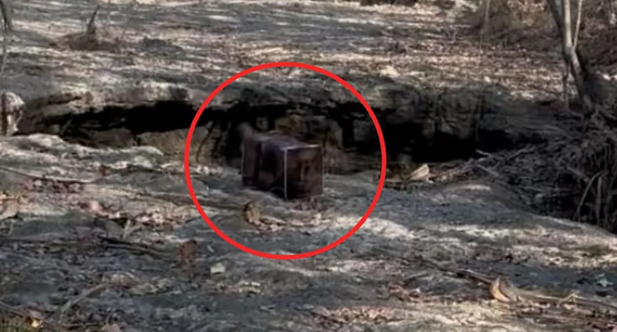 Call to ban 'horrendous' item after sombre discovery in bush: 'Death trap'