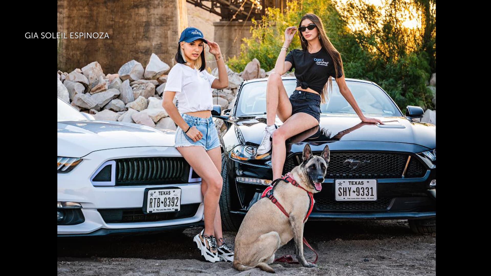 Cars and Canines returns with first event since founder Mia Molina's death