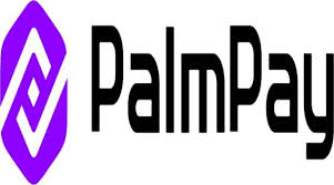 PalmPay says trust deficit, fraud concerns stall digital payments growth