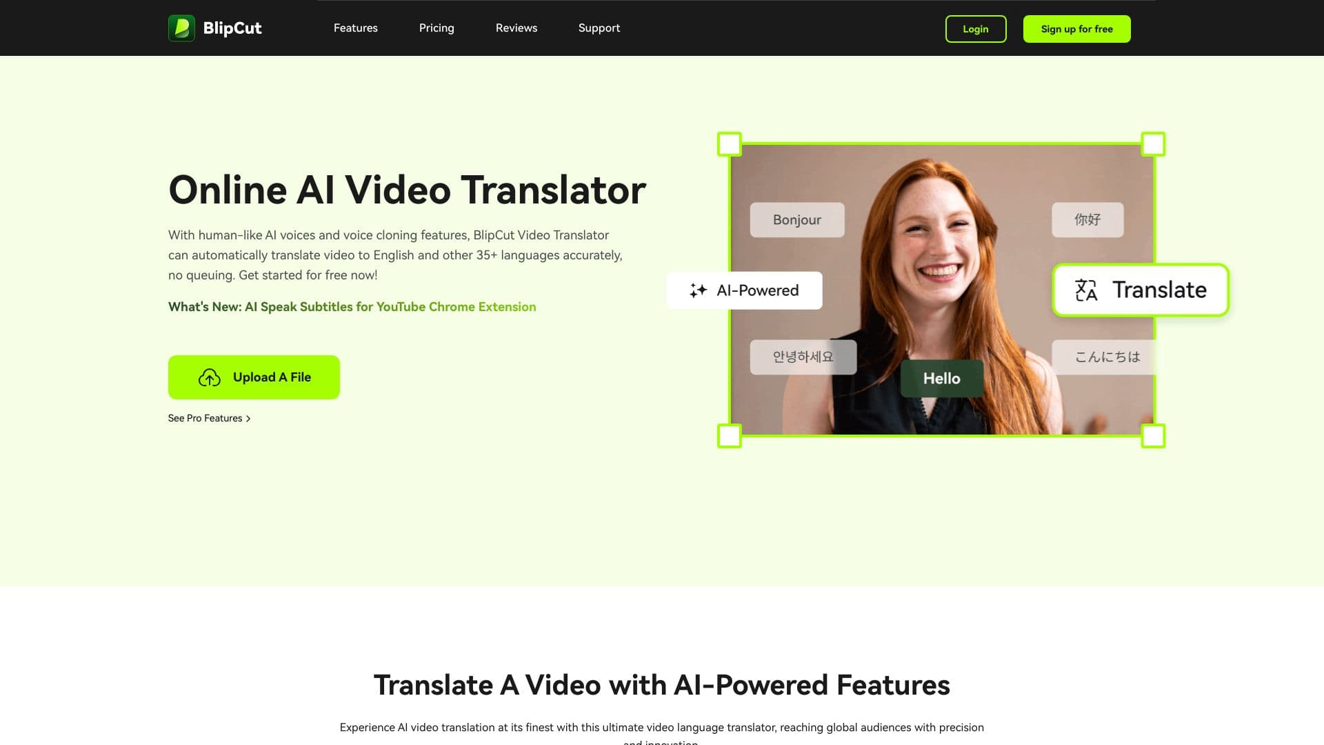 Blipcut AI Video Translator