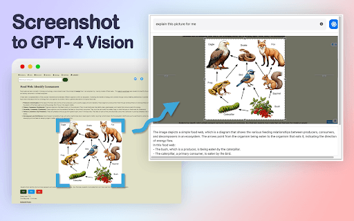 Capture d’écran GPT-4 Vision