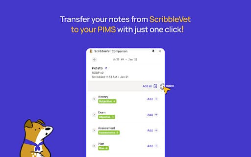 ScribbleVet Chrome Companion