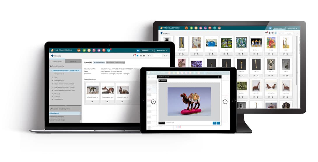 TMS Collections Management Software