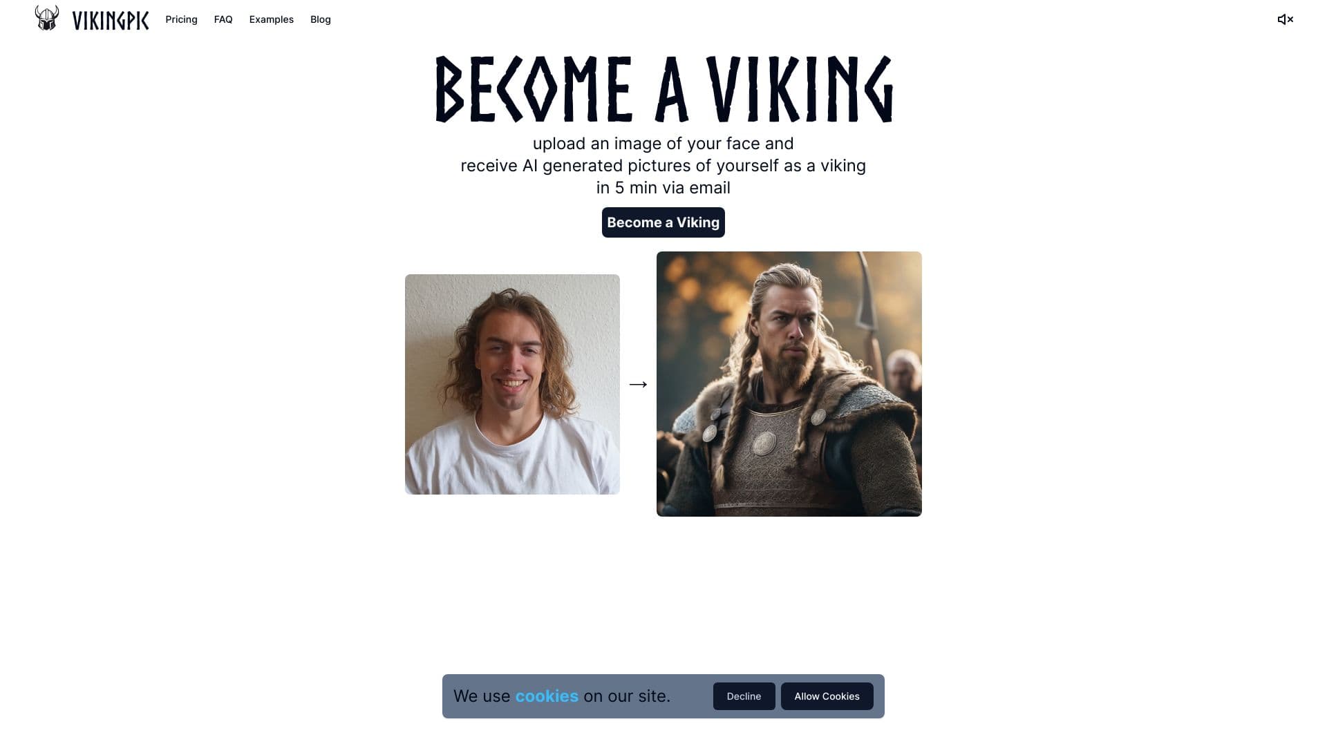Vikingpic