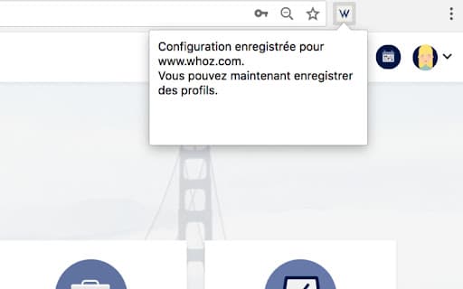 Whoz LinkedIn Extension